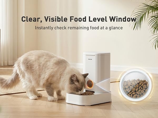 auto cat feeder
