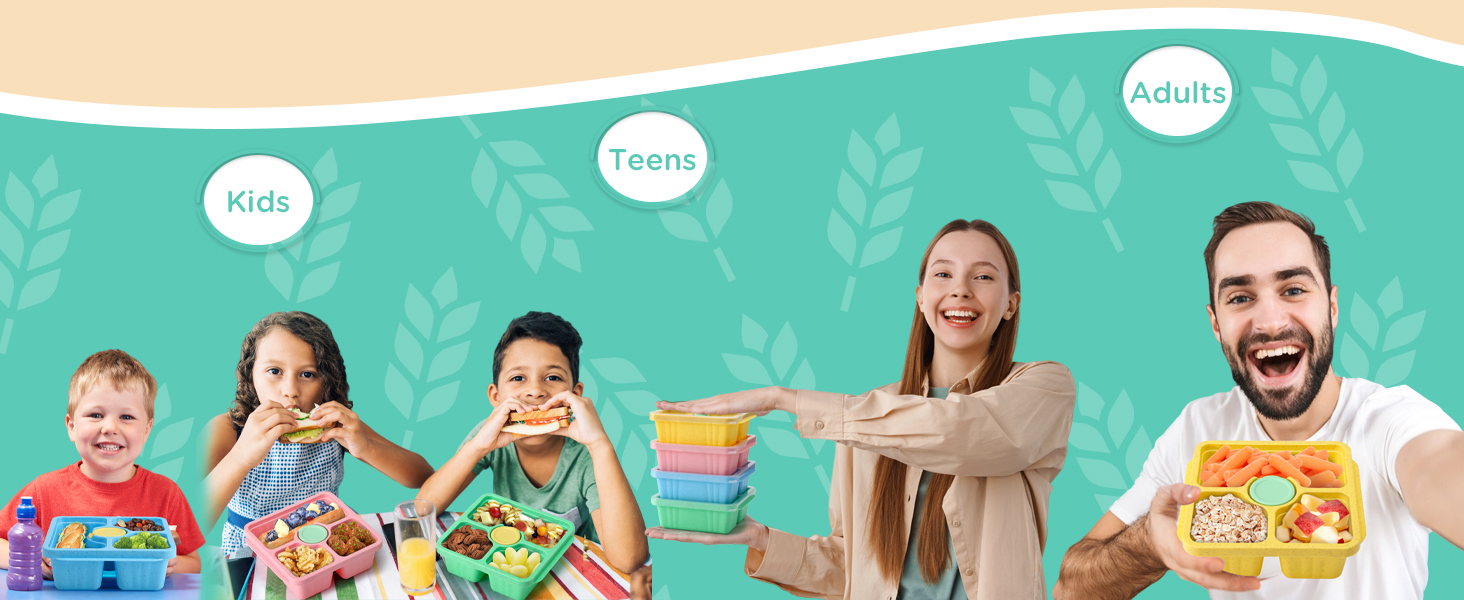 snack boxes for adults