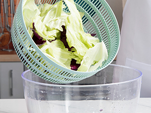 salad spinner
