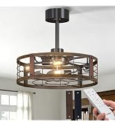Passky 20 Inch Farmhouse Caged Ceiling Fans with Lights and Remote, Black Downrod Mount Bladeless...