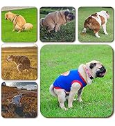Funny Coasters for Drinks, 6 Piece Pooping Dogs Cute Coasters, Absorbent Cork Base Apartment Deco...