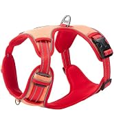 EXCELLENT ELITE SPANKER No Pull Dog Harness Adjustable Reflective Nylon Vest EVA Padded Nameplate...