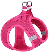 Step-in Small Dog Harness