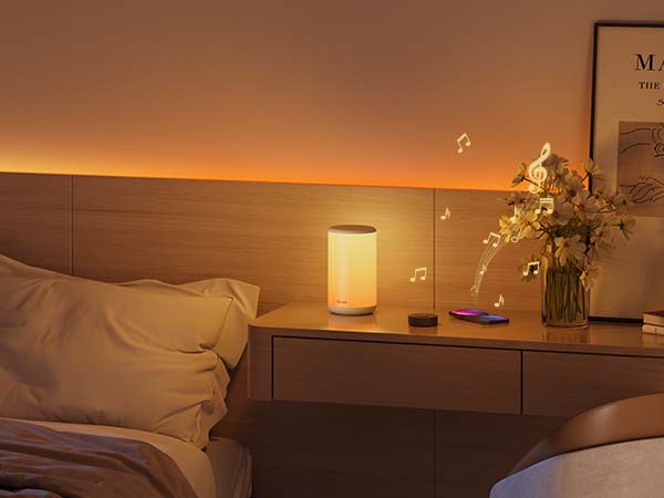 Govee Music Sync Box for Bed room