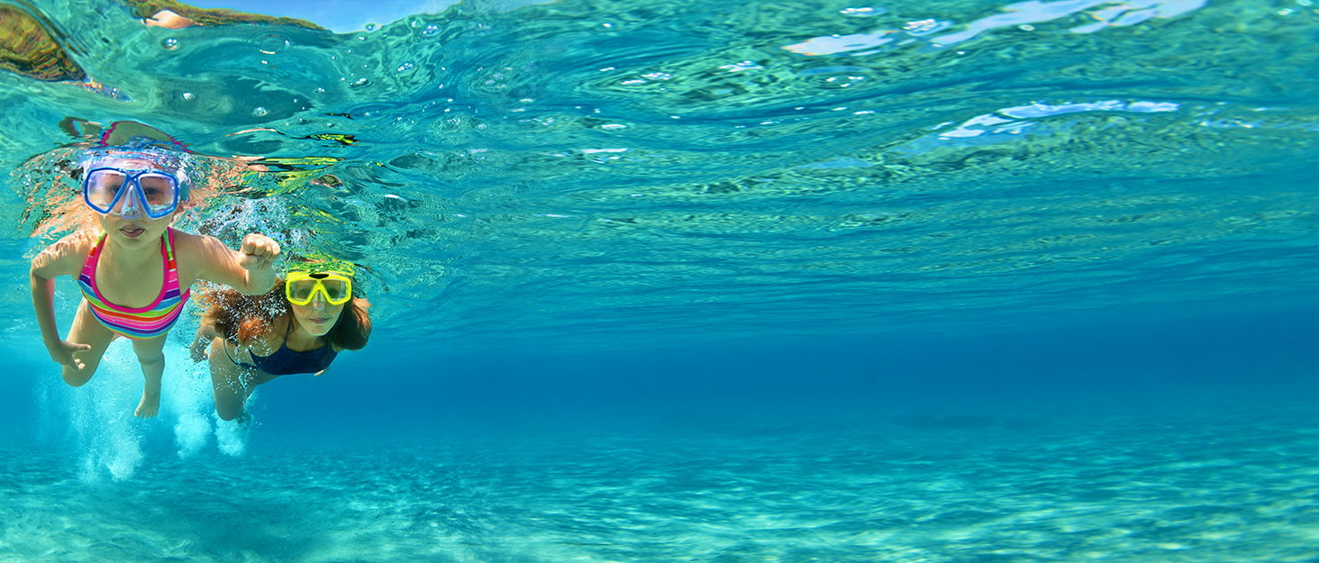 Swimming Goggles