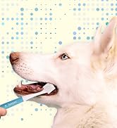 jasper macrobrush 360 dog toothbrush
