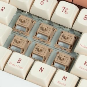 Keyboard Switches