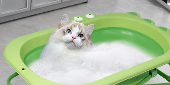 toddler bath tub
