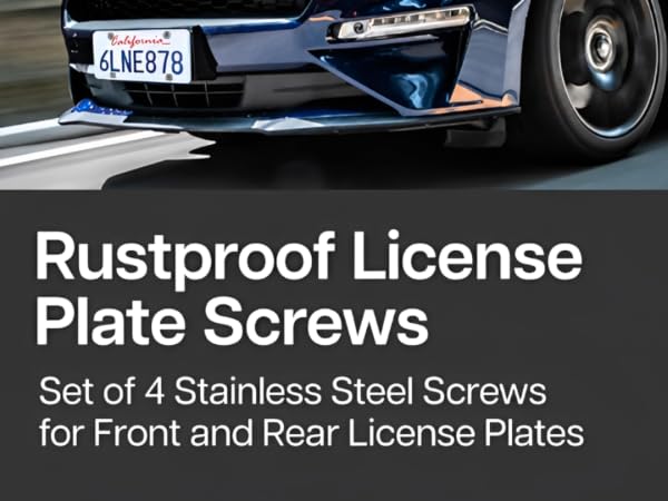 License Plate Screws