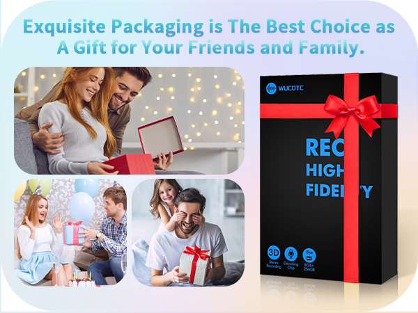 audio recorder spy hidden