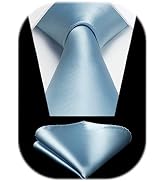 HISDERN Mens Solid Color Ties Formal Satin Necktie and Pocket Square Set Classic Wedding Business...