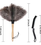 feather duster for cleaning