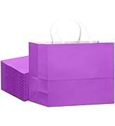 qiqee 24PCS Large Gift Bag with Handles Bulk 13