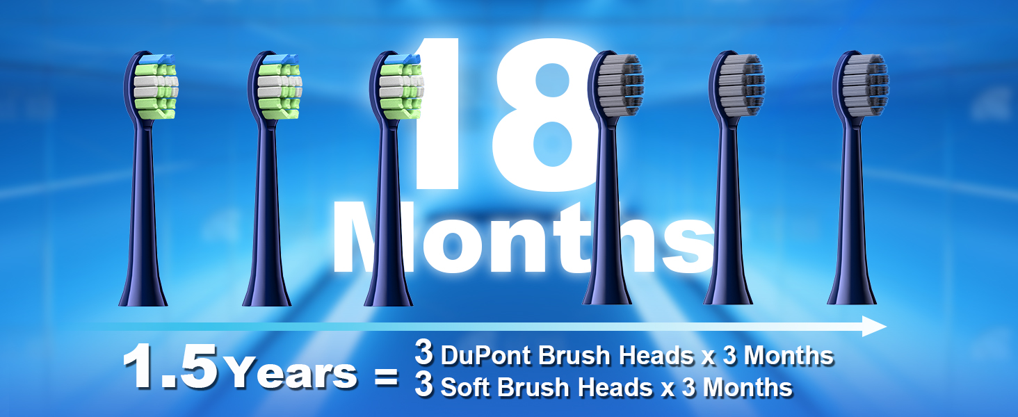 Electric Toothbrush