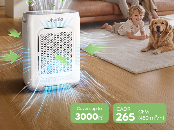 air purifier large room