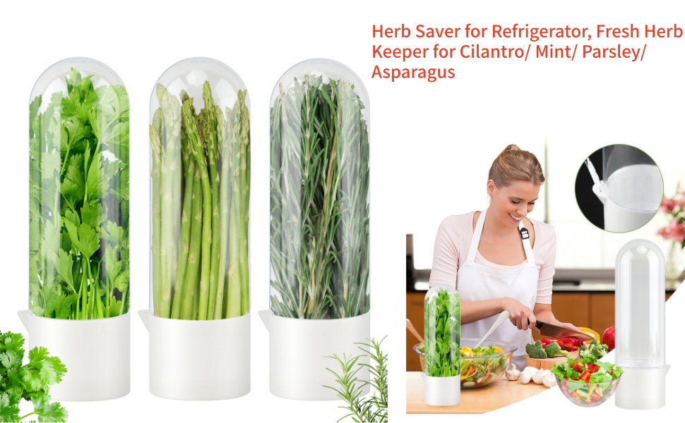 Herb Keeper for Refrigerator