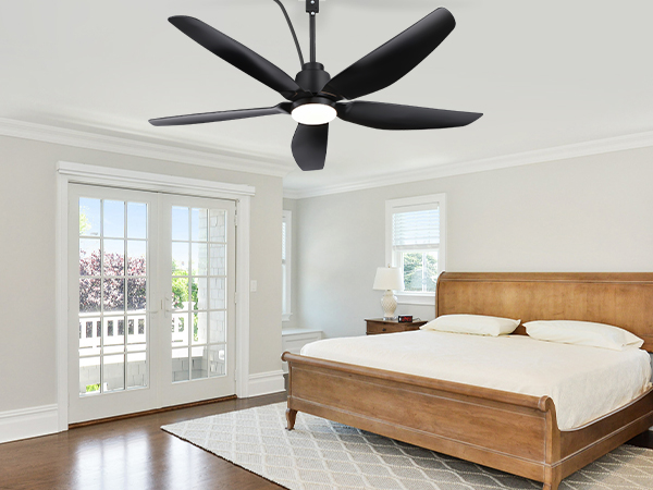 ceiling fan