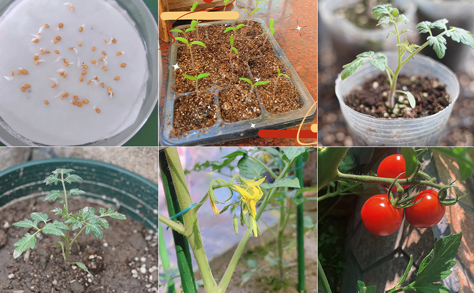 moisture meter for plants