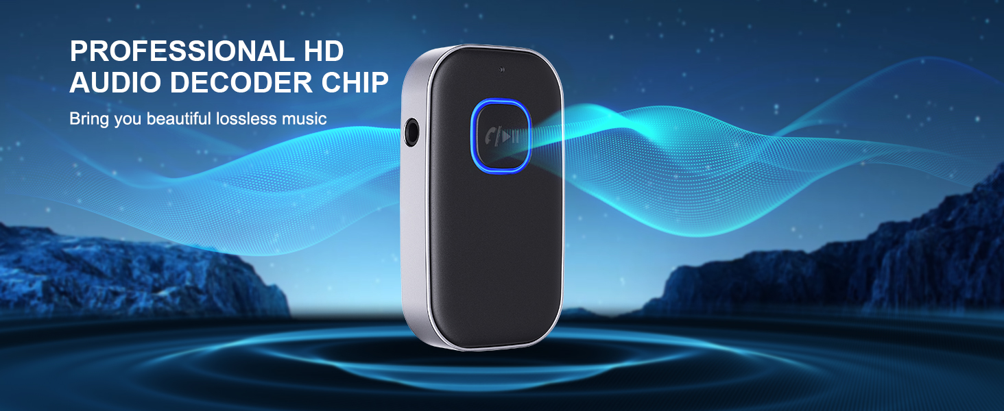 PROFESSIONAL HD AUDIO DECODER CHIP - Bring you beautiful lossless music