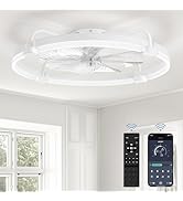 LEDIARY Ceiling Fans with Lights and Remote, 24'' Low Profile Ceiling Fan with Light, 3000-6000K ...