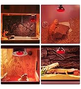 reptile light bulb