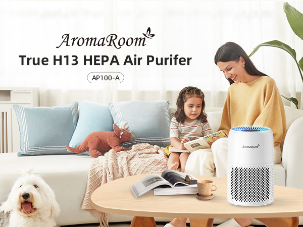 AromaRoom Air Purifier