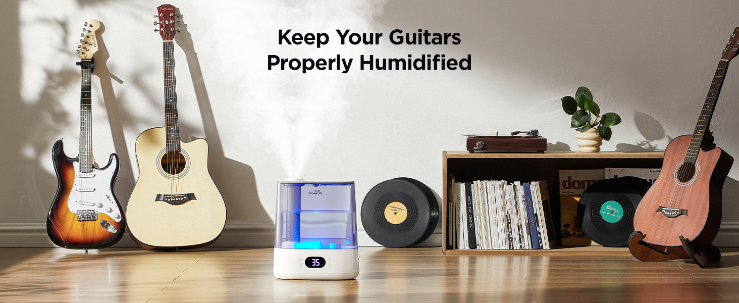Guitar humidification