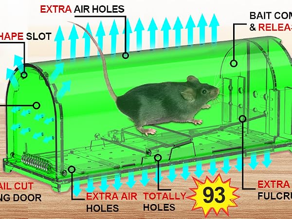 Mouse Traps