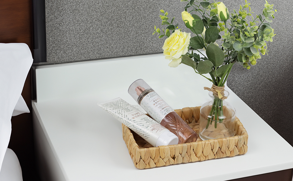 Bathroom Tray