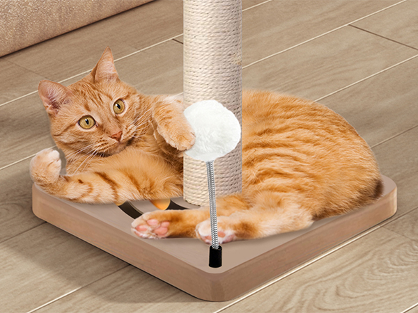 Cat Scratching Post