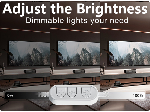 White LED Lights