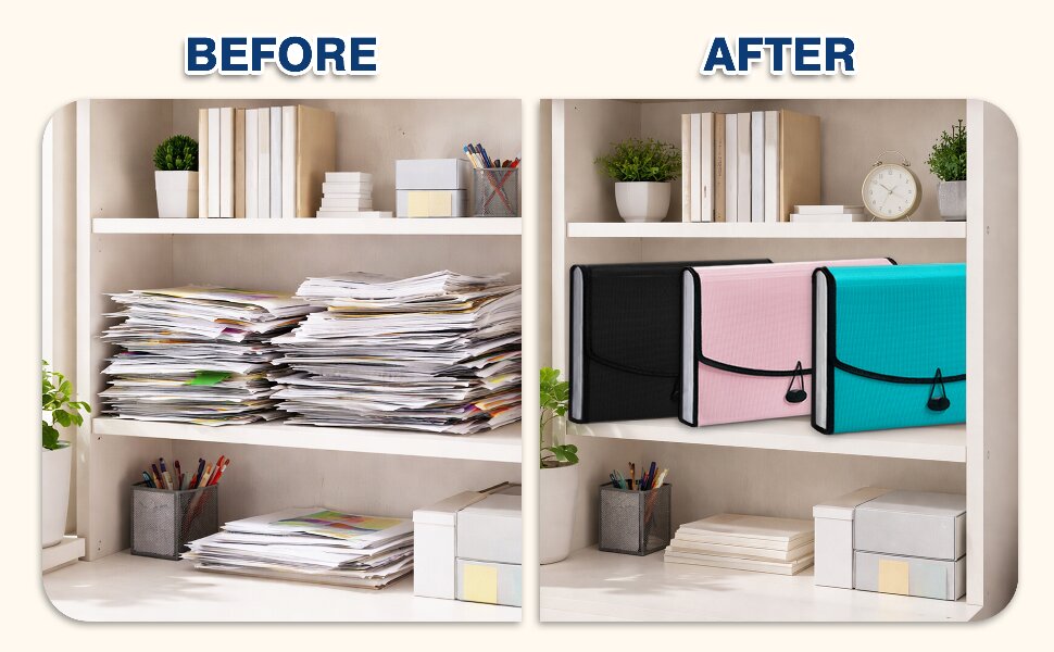 Accordion File Organizer