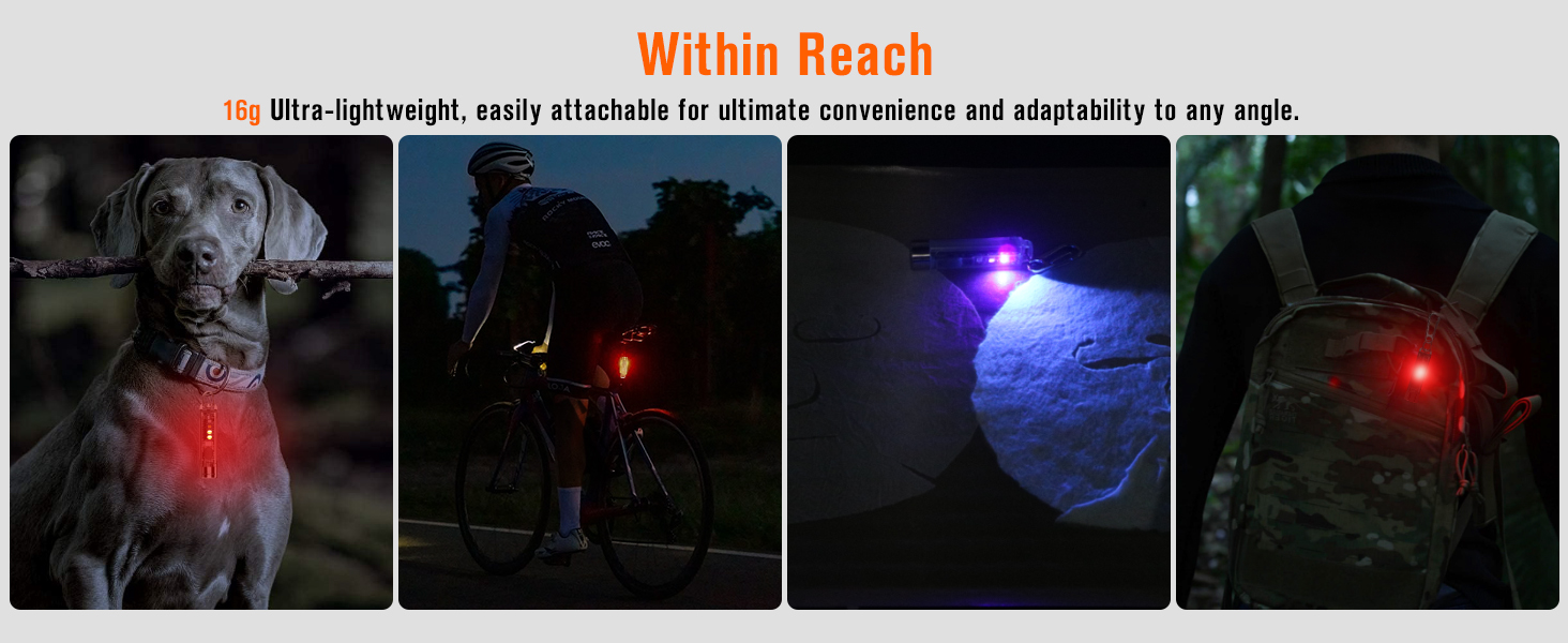 EDC flashlight