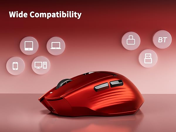 mouse