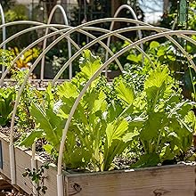 insect netting mesh netting garden netting