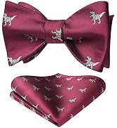 HISDERN Self Tie Bow Ties for Men Animal Fun Bowties Pocket Square Woven Silk Bowtie Handkerchief...