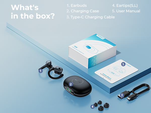 T19 Wirelss Earbuds