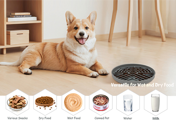 versatile for wet and dry food
