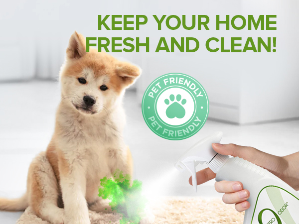 Odor Eliminator