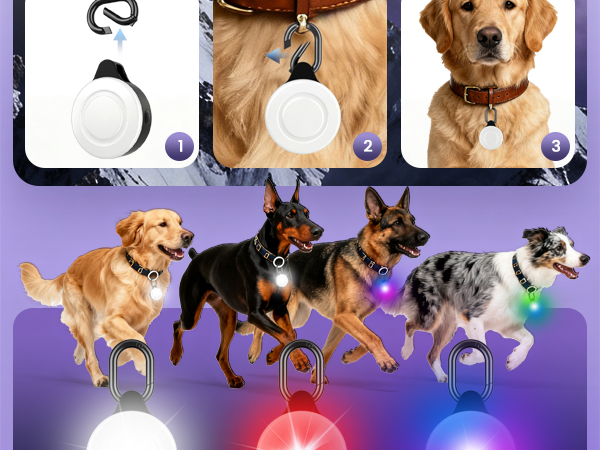 dog light up collar