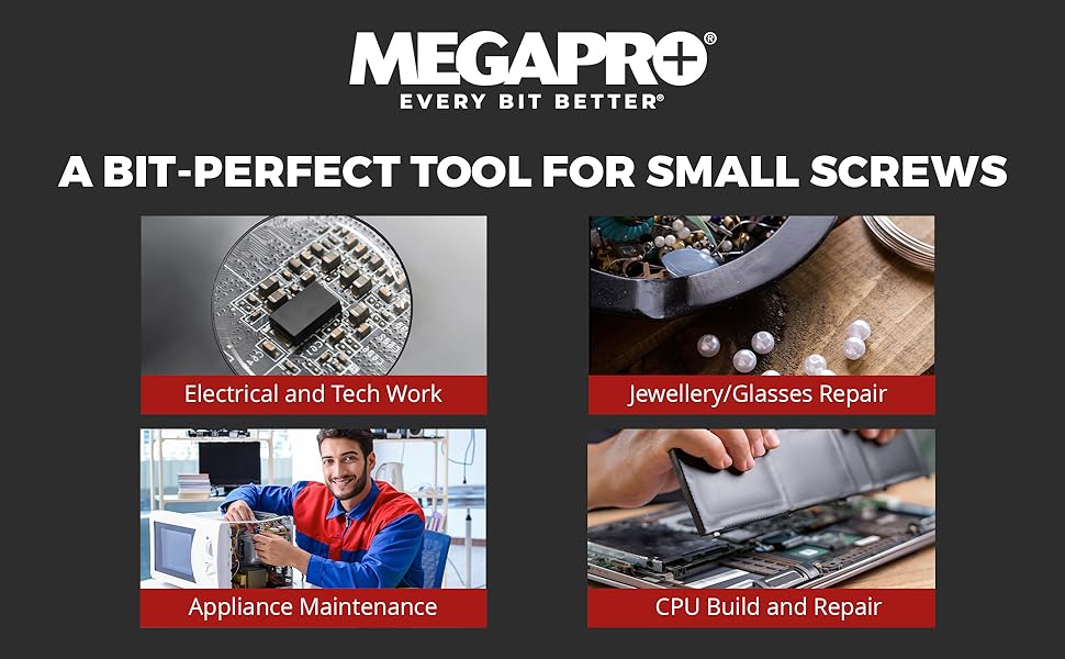 A bit-perfect tool for small screws