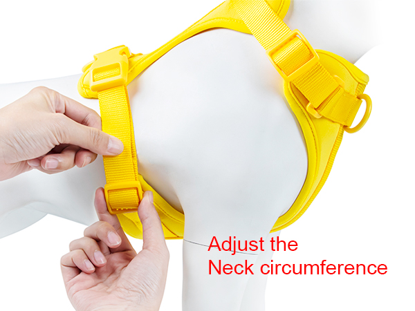 dog harness small sized
