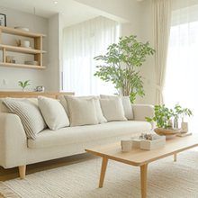 aplus content image