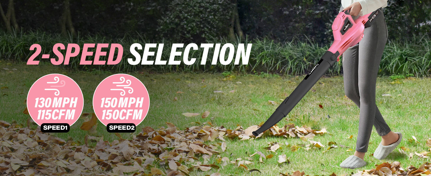 leaf blower cordless