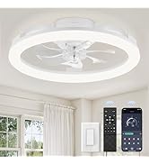 LEDIARY 20 Inch Low Profile Ceiling Fans with Lights and Remote, Dimmable Modern Fan Light(3000K-...