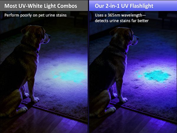 uv lamp