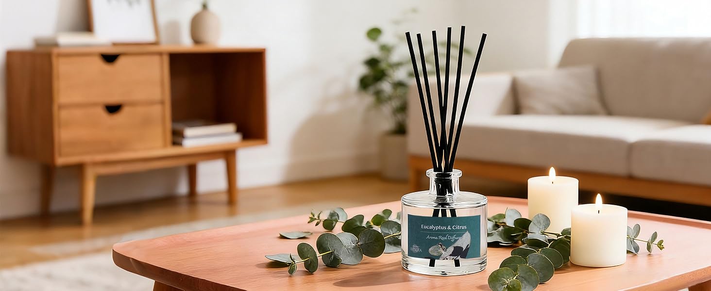 reed diffuser for livingroom