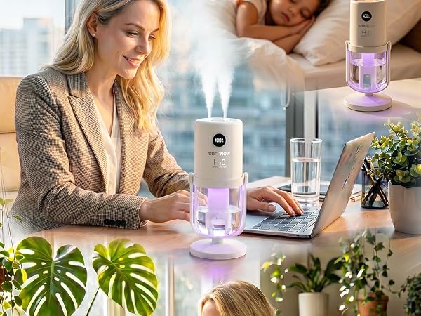 Dual Mist Portable Humidifier