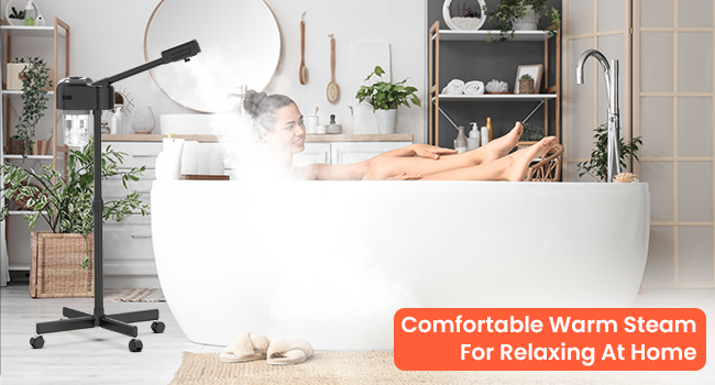 TASALON Professional Facial Steamer