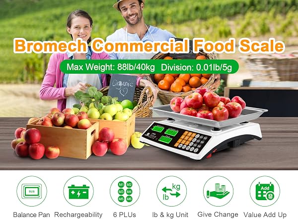 Commercial food scale